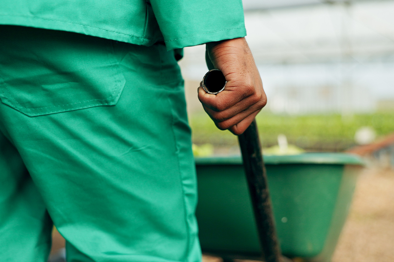 landscaping taskkey cleaners